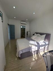 Jalan Ulu Siglap (D15), Semi-Detached #453320941